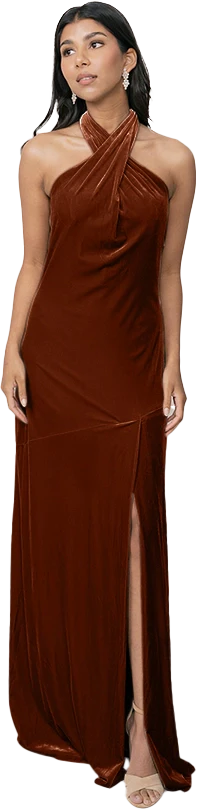 Athena Velvet Dress | Made To Order - Image 27