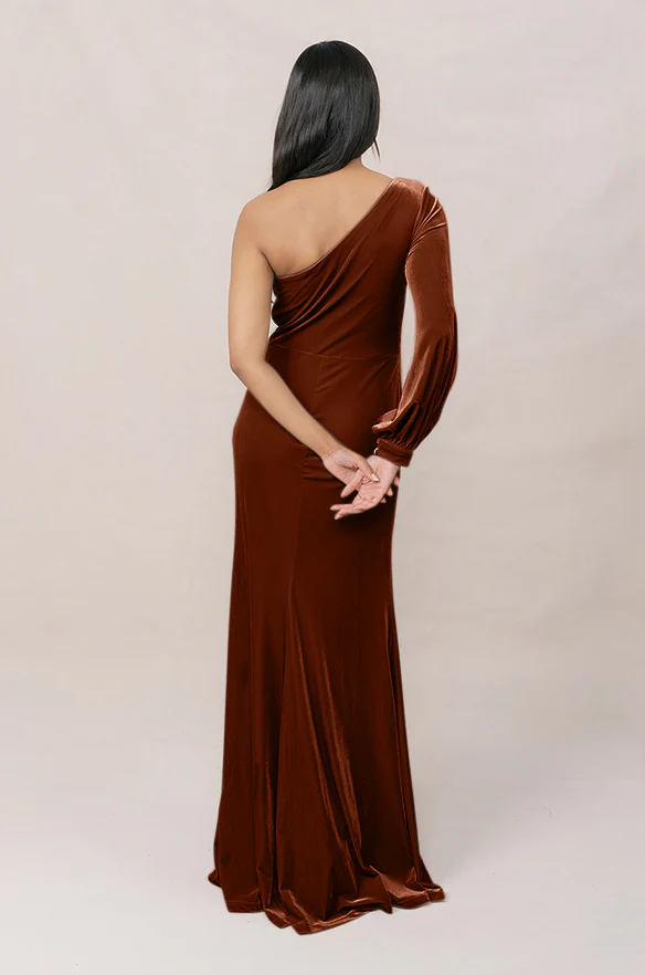 Aurora Velvet Dress | Made To Order - Image 46