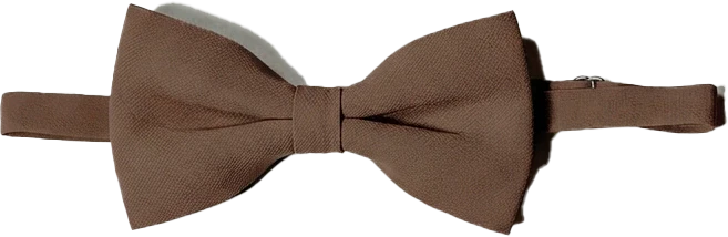 Chiffon Bowtie | Made To Order - Image 76