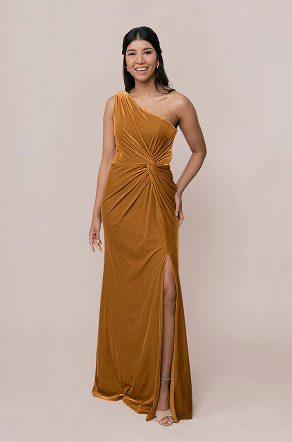 Florence Velvet Dress | Made To Order - Image 17