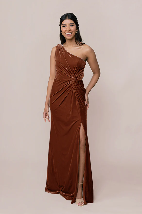 Florence Velvet Dress | Made To Order - Image 24