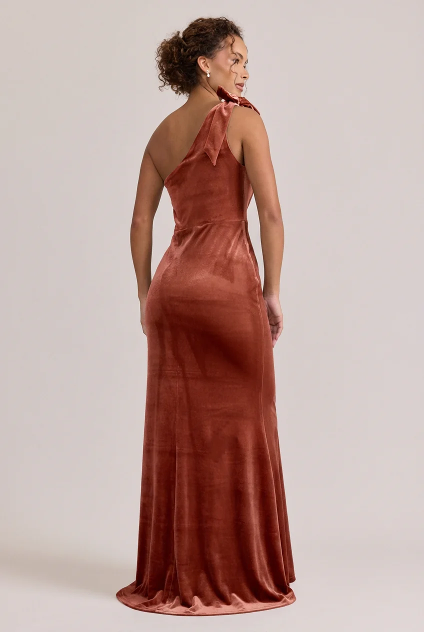 Rowan Velvet Dress | Made To Order - Image 63