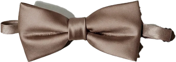 Satin Bowtie | Made To Order - Image 63