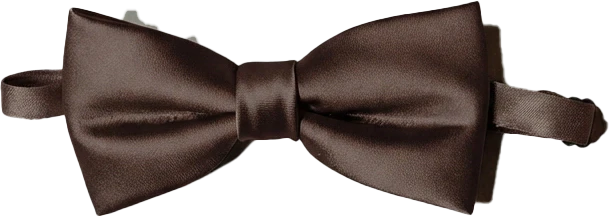 Satin Bowtie | Made To Order - Image 64
